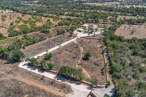 DJI_0601 copia.jpg