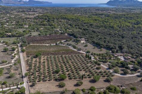 DJI_0710 copia 21.29.02 copia.jpg