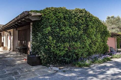 DSC00761 copia 3.jpg