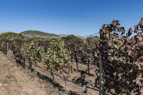 DSC00760 copia 2.jpg