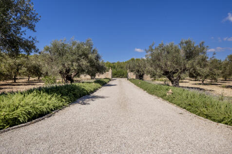 DSC05442-HDR.jpg