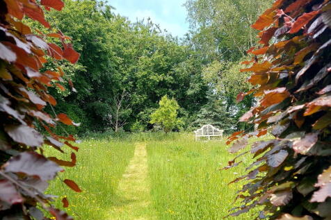 Property Image 34