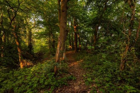 Brook Way, IG7