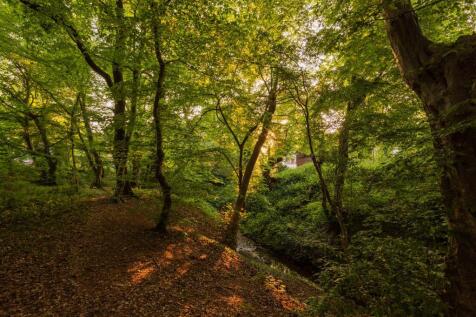 Brook Way, IG7