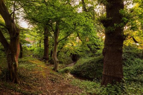 Brook Way, IG7