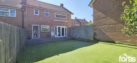 Back Garden