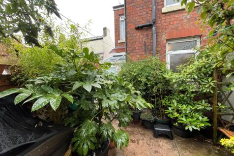 Mount Terrace Rear Garden
