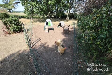 Property Image 49