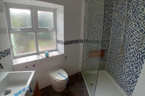 Downstairs Shower 