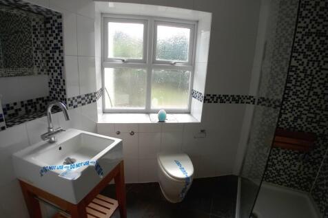 Downstairs Shower