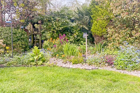 Garden d_edited
