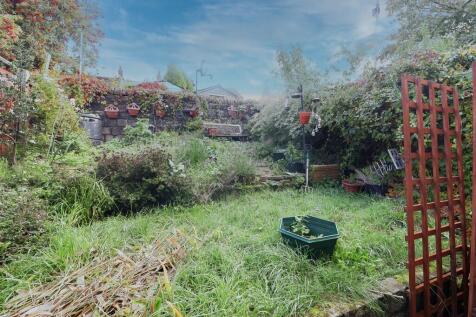 IMG_0110_edited (...