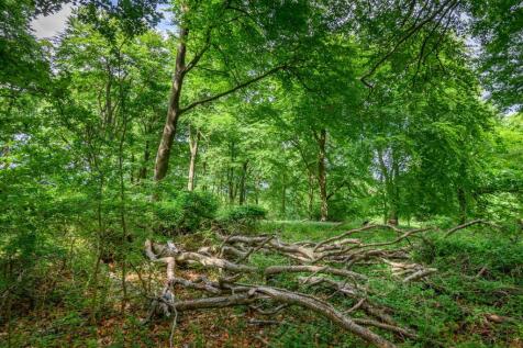 Land at Cleeve Hill, Cheltenham, GL54 4EU