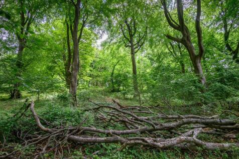 Land at Cleeve Hill, Cheltenham, GL54 4EU