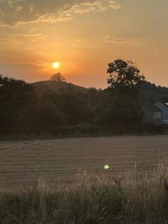 IMG_9182.JPG