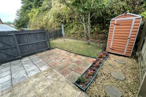 garden.jpeg