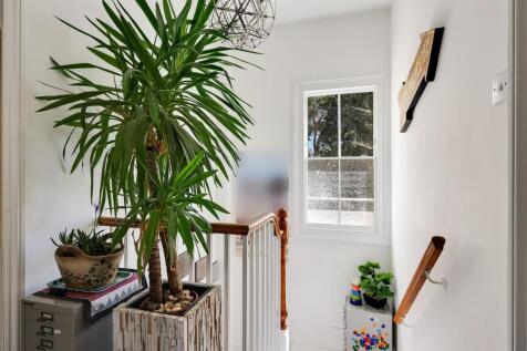 Img (9).jpg
