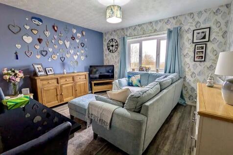 PXL_20250214_1356...