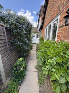Side Garden
