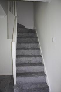 Stairs &amp; Landing