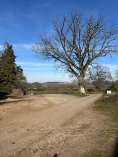 Bluebell view.jpg