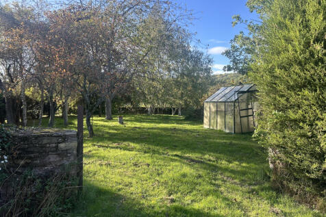 orchard