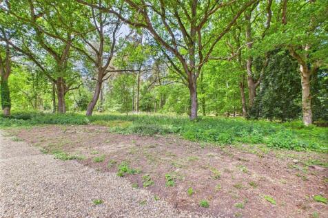 Woodland
