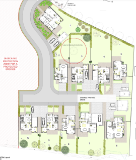 Site Layout