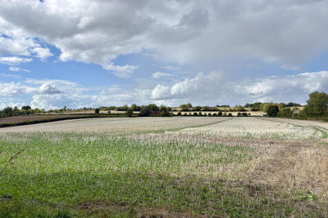 Field Wainhouse