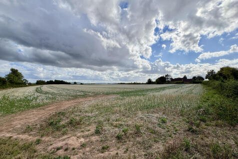 Field Wainhouse