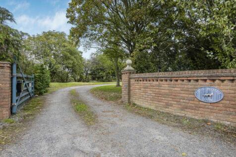 Driveway Approach
