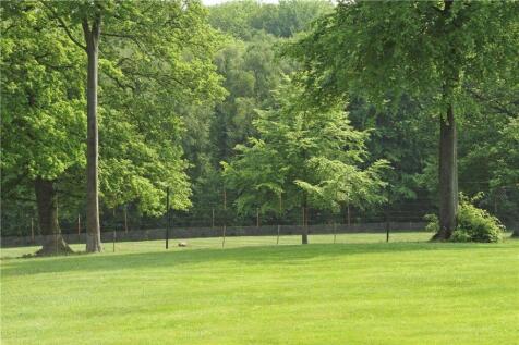 HSM120060_14.jpg