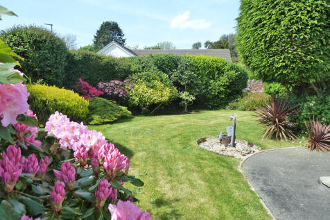 Side garden