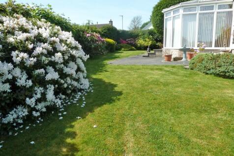 Side garden