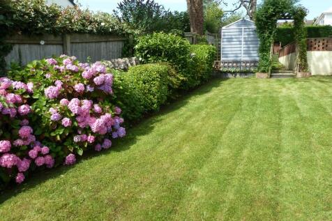 Side garden
