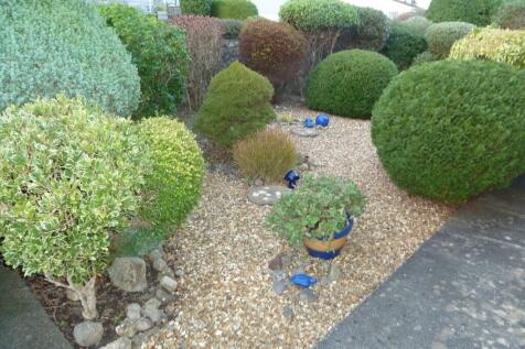 Front garden