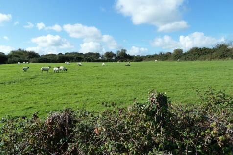Lovely country view