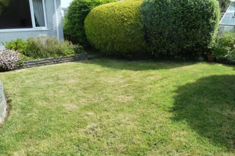 Sunny rear garden