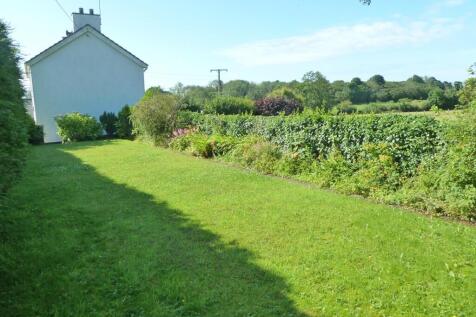 Private side garden