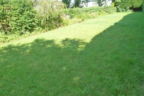 Private side garden
