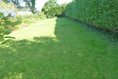 Large side garden