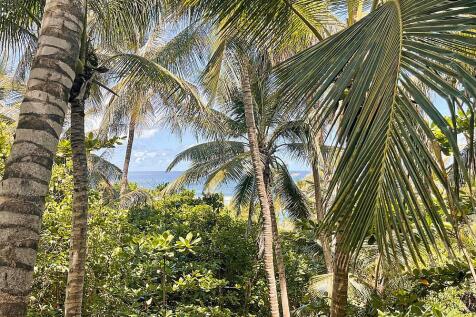 Eco Lodge