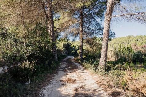 PROJECT CAN SAYA IBIZA