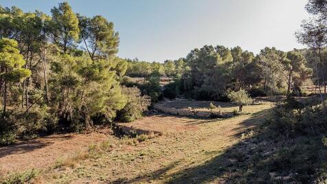 PROJECT CAN SAYA IBIZA