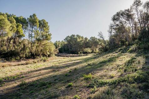 PROJECT CAN SAYA IBIZA