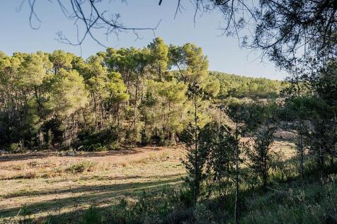 PROJECT CAN SAYA IBIZA