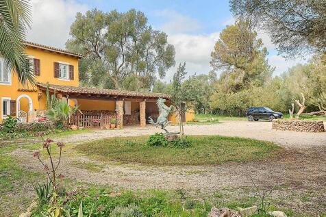 Property Image 36