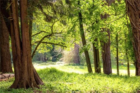 Woodland
