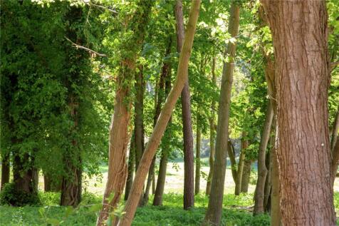 Woodland