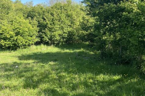 Bare Grassland